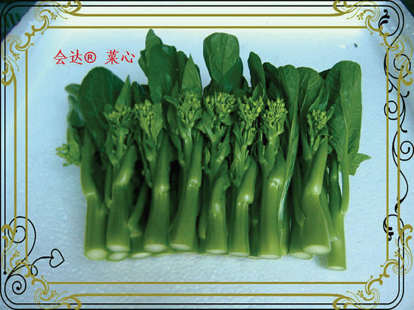 會達(dá)無公害蔬菜