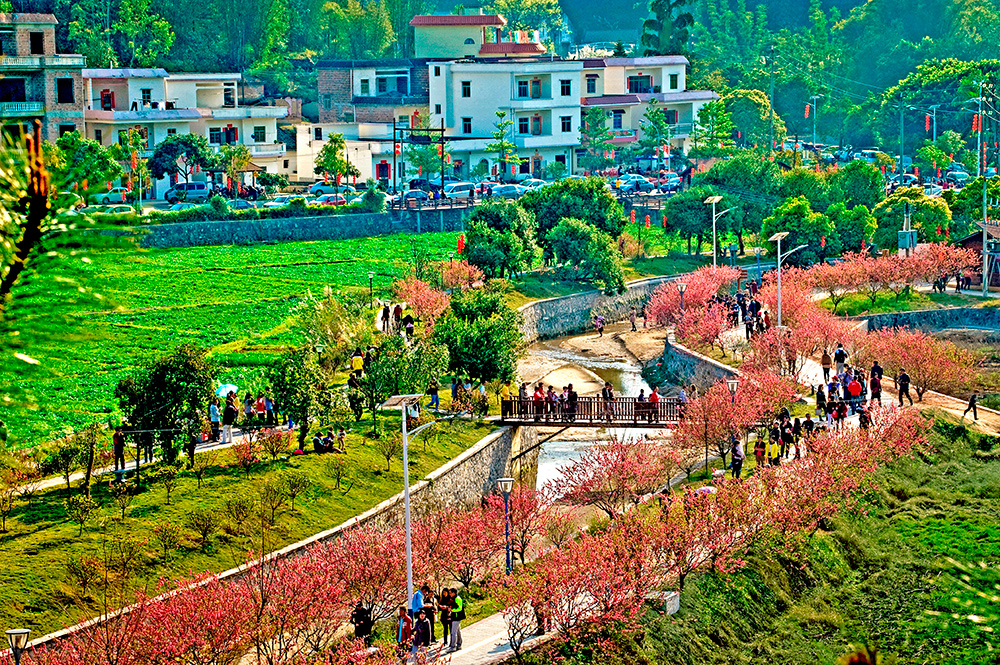 美麗紅山村