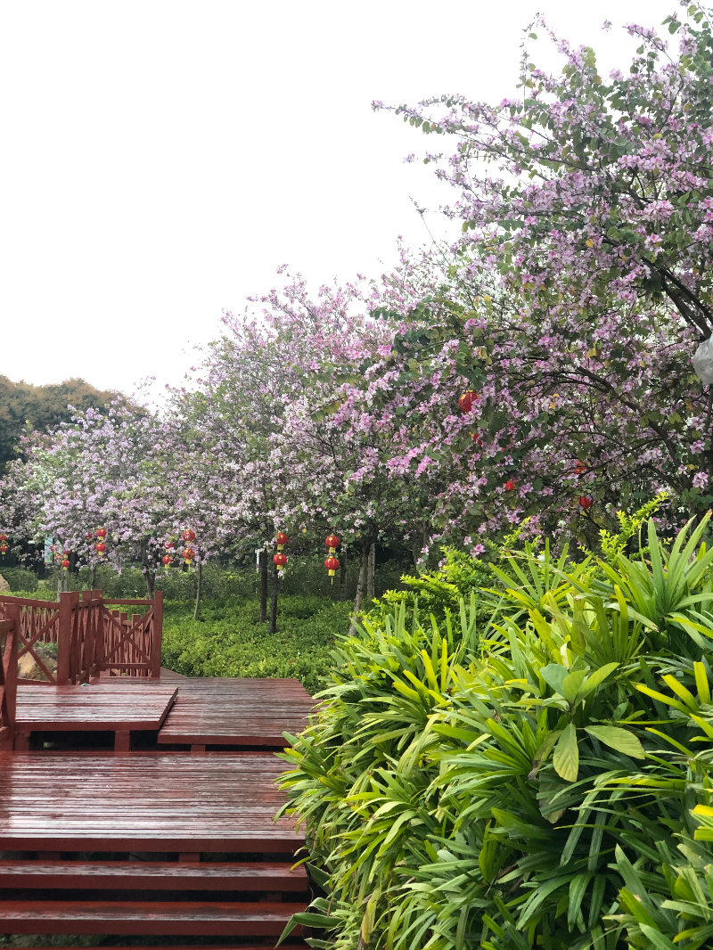 人民公園配圖3.jpg