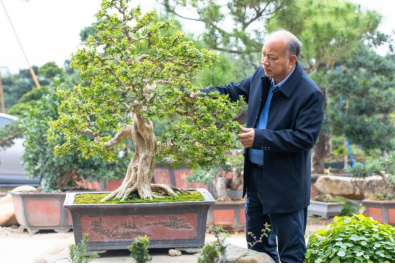 打造文化傳承“花都樣本”讓傳統非遺“潮”起來3058.png