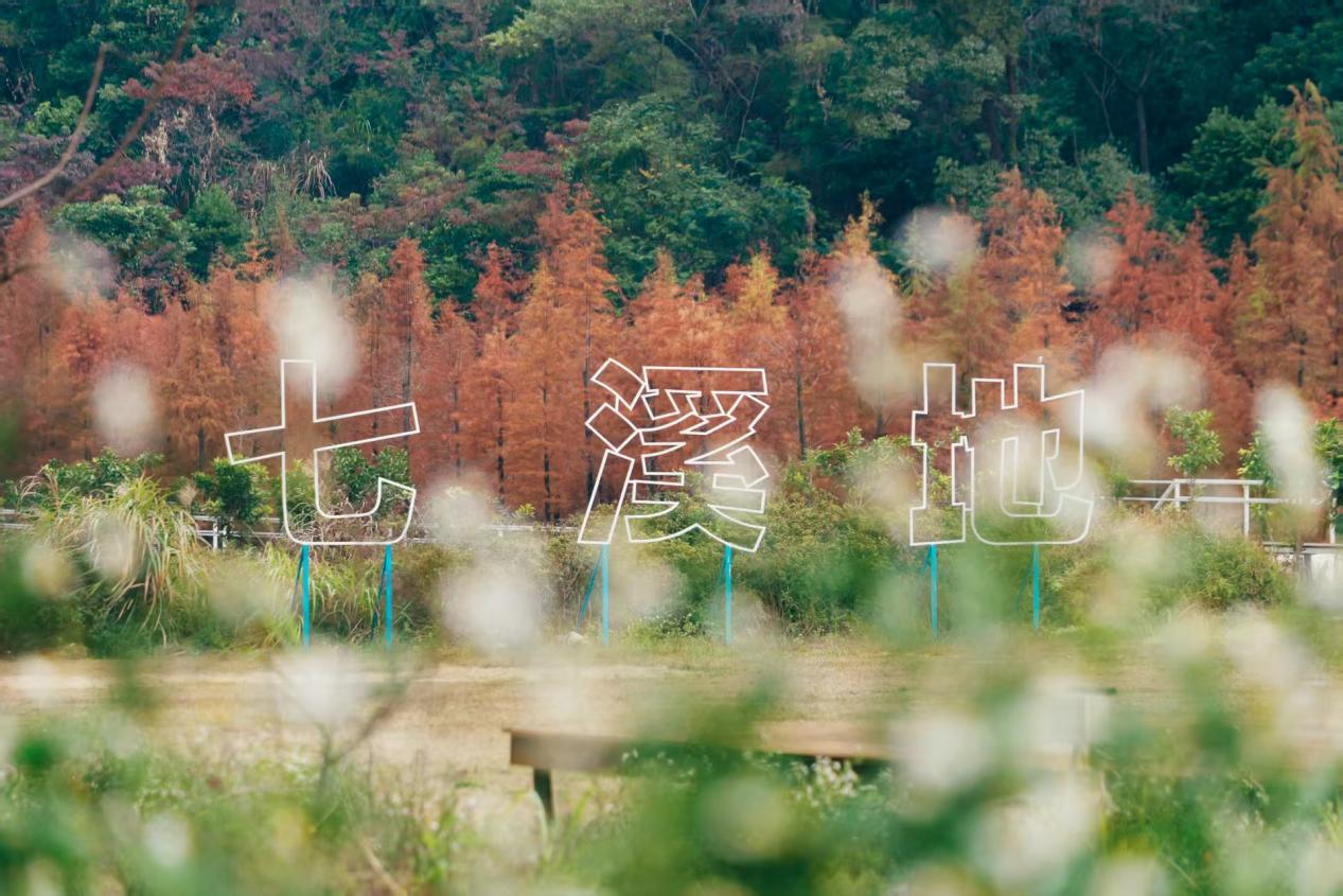 圖片3.png