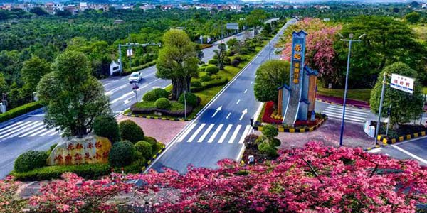 農業農村部公布2025年國家鄉村振興示范縣創建名單            廣州花都榜上有名
