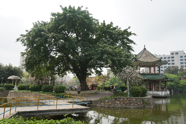 秀全公園配圖3.JPG