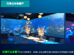 沉浸式光影互動(dòng)餐廳